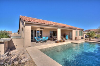 pool and back patio