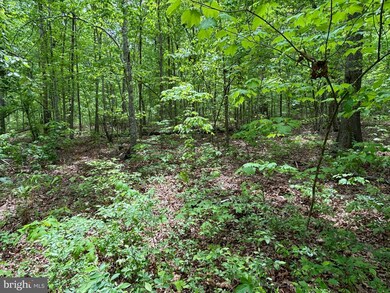 0 R W Off Justice Ln unit VAOR2009074, Orange, VA 22960 - photo 2