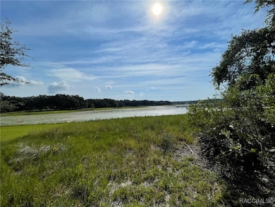 LOTS 13, 14 SW Shorewood Dr, Dunnellon, FL 34431 - photo 2