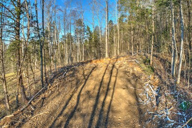 Carroll Creek Rd-6