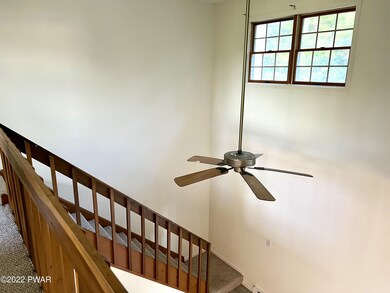 Plenty of Natural Light