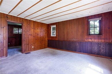 Carpeted living room with wood walls
