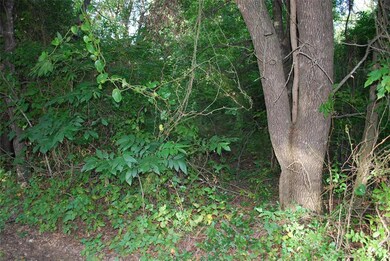 39229 Cedar Park Dr, Whitney, TX 76692 - photo 6