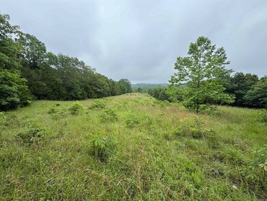 0 Honeytree Ln, Camp, AR 72520 - photo 7