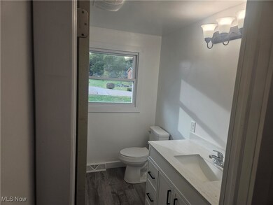 Bathroom featuring dark wood-style flooring and vanity