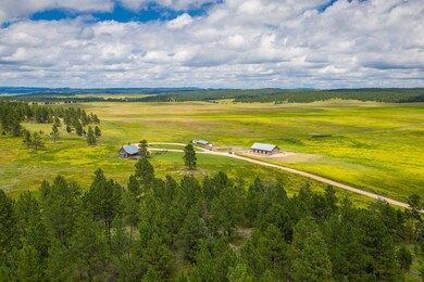 26865 Stage Stop Rd unit Pronghorn 5- Canyon, Custer, SD 57730 - photo 3