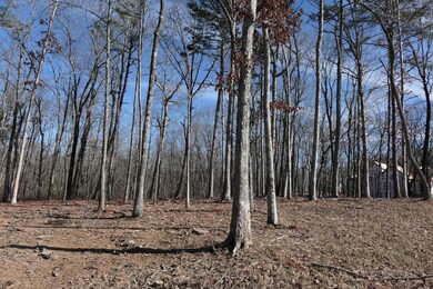 P1000226