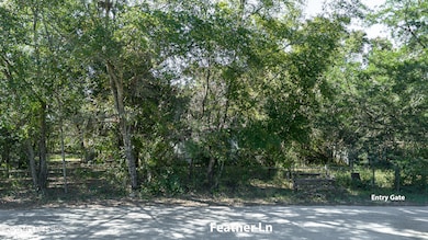 Ext Feather Ln Low a