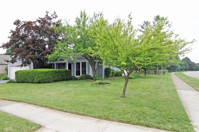 Side View