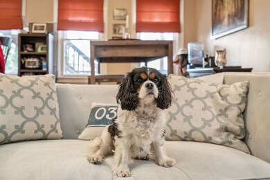 36 Mount Vernon St unit 2, Charlestown, MA 02129 - photo 6