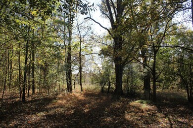 12000 Center Hill Rd, Mineral Wells, MS 38654 - photo 7
