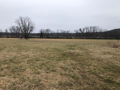 22.83 AC Hindman Dr, Prairie Grove, AR 72753 - photo 2