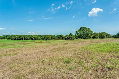 0000B Farm To Market 2048, Boyd, TX 76023 - photo 4
