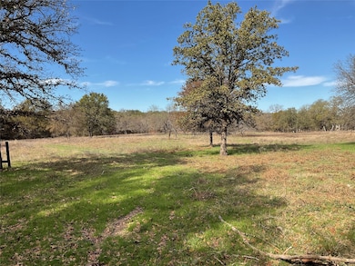 125 Rock Salt Ct, Springtown, TX 76082 - photo 5