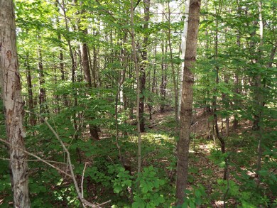 0 Safford Rd unit 4912951, Hartford, VT 05059 - photo 3