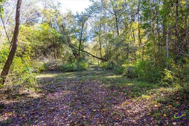 3271 Georgia 42, Forsyth, GA 31029 - photo 3