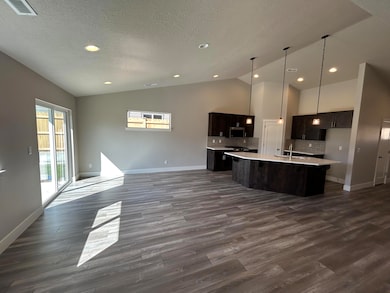 Great room and kitchen