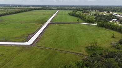 LOT 5 Rymal Ranch Rd, Algoa, TX 77511 - photo 2