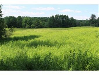 0 E Cobble Hill Rd unit 4851437, Barre Town, VT 05641 - photo 2