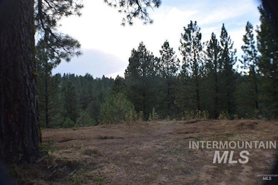 Lot 12 Payette River Ranch, Horseshoe Bend, ID 83602 - photo 7
