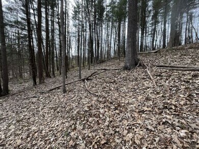 Wooded property