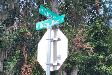 0 NW Bascom Norris Dr unit MFRGC518103, Lake City, FL 32055 - photo 5