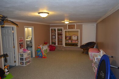 Lower Level Family Room/RecRoom