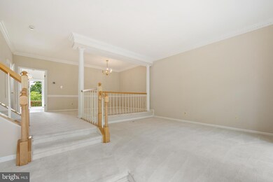 1206 Dartmouth Rd, Alexandria, VA 22314 - photo 3