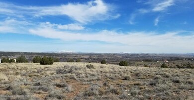 XXX Road 3950, Farmington, NM 87401 - photo 3