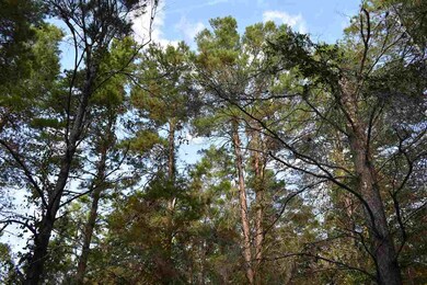 0 Sea Meadows Dr unit 312713, Perry, FL 32348 - photo 2