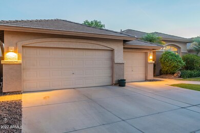 Tamarisk-Twilight-12