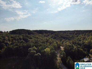 0000 Brooks Dr unit 1, Brookside, AL 35068 - photo 3