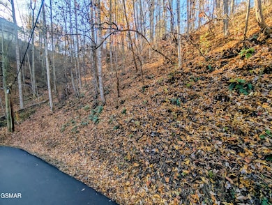 Lot 339 Ridgefield Dr, Sevierville, TN 37876 - photo 4