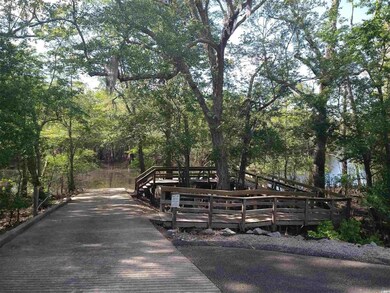 856 Tilly Lake Rd unit Lot 45, Conway, SC 29526 - photo 6