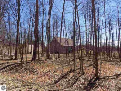 2340 E Sugar Maple Dr, Cedar, MI 49621 - photo 7