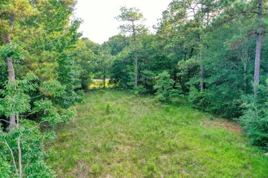 28607 Laurens Landing, Spring, TX 77386 - photo 7