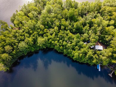 N8481 Bog Lake Rd, Gleason, WI 54435 - photo 3