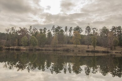 1080 Waterstone Dr, Madison, GA 30650 - photo 2