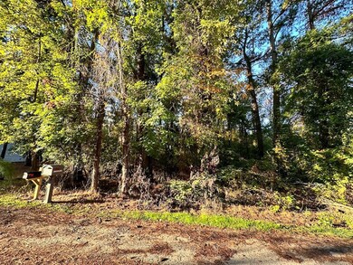 0.23 Mason Dr unit 11, Chincoteague, VA 23336 - photo 3