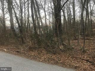 0 Branhum Rd, Selby-On-the-bay, MD 21037 - photo 5