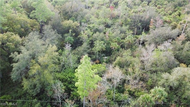 4765 28th Ave SE, Naples, FL 34117 - photo 2