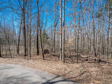 LOT 80 Featherfoot Pkwy Loop, Parsons, TN 38363 - photo 5