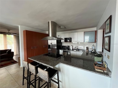 Apt B-205 Cond Harbour Points, HuMacAo, PR 00791 - photo 3