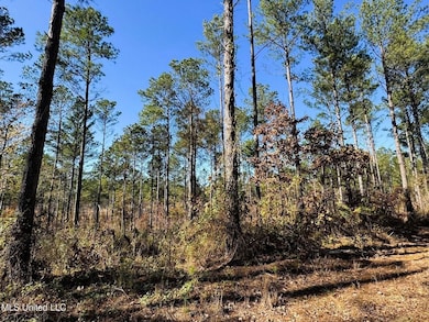 0 County Road 235, Banner, MS 38913 - photo 7