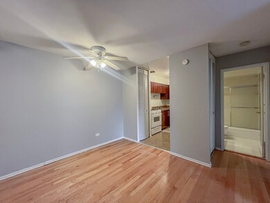 736 W Buena Ave unit 402, Chicago, IL 60613 - photo 4