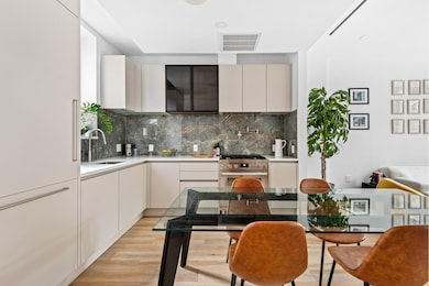 218 Classon Ave unit GARDEN, Brooklyn, NY 11205 - photo 4