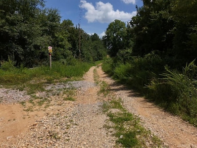 0 Chris Ln unit 25028271, Amity, AR 71921 - photo 5