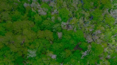 0 Pee Dee Hwy unit 25650621, Conway, SC 29527 - photo 2