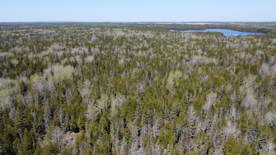 DJI_0743