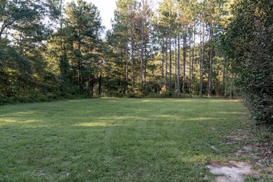 146 Morris Stevens Rd, Macon, GA 31217 - photo 3